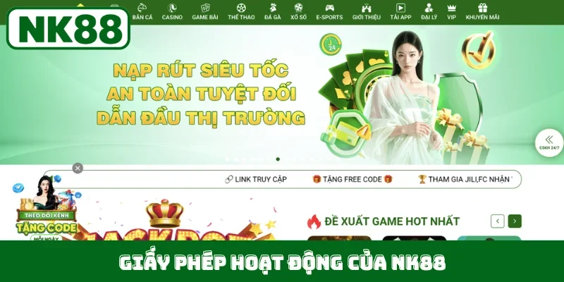 Giấy phép hoạt động của NK88
