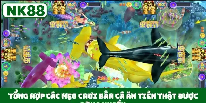 Tổng hợp các mẹo chơi bắn cá ăn tiền thật được dùng nhiều